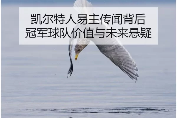 kai-er-te-ren-yi-zhu-chuan-wen-bei-hou-guan-jun-qiu-dui-jia-zhi-yu-wei-lai-xuan-yi-2-639.jpg